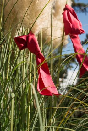 foto di due foulard rossi legati a delle piante