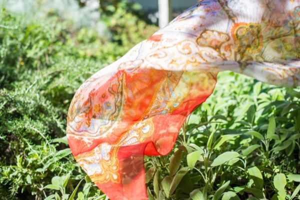 foto di foulard su piante verdi